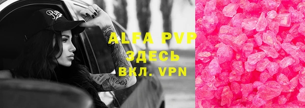 стаф Аркадак