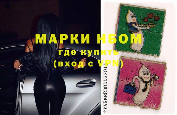 стаф Аркадак