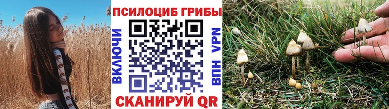 Псилоцибиновые грибы Psilocybine cubensis  Новодвинск 